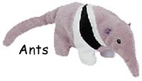 Ants
