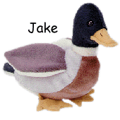 Jake