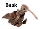 Beak