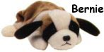 Bernie