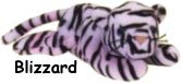 Blizzard