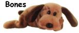 Bones