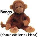 Bongo