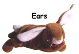 Ears