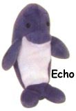 Echo