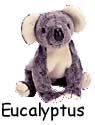 Eucalyptus