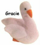 Gracie