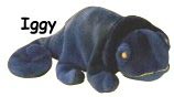 Iggy