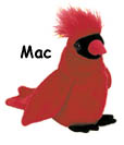 Mac