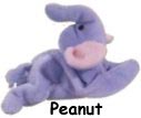 Peanut2