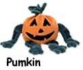 Pumkin