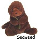 Seaweed