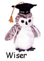 Wiser