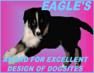EagleAward